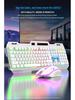 Viper KM520 Luminous Metal USB Wired Keyboard and Mouse Set for Desktop Computers