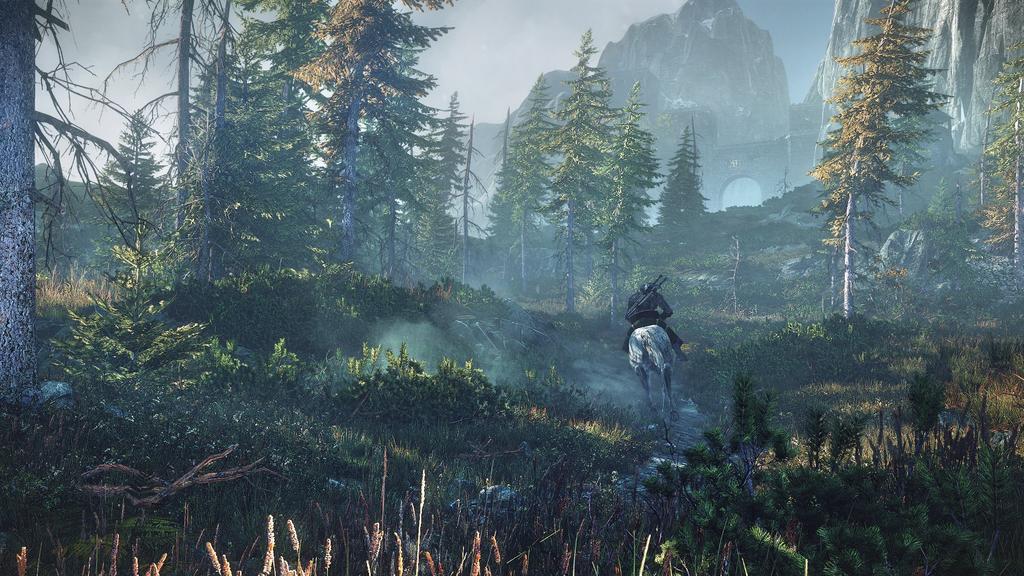 The Witcher III Wild Hunt (Import Version: North America) - PS4 - PS3