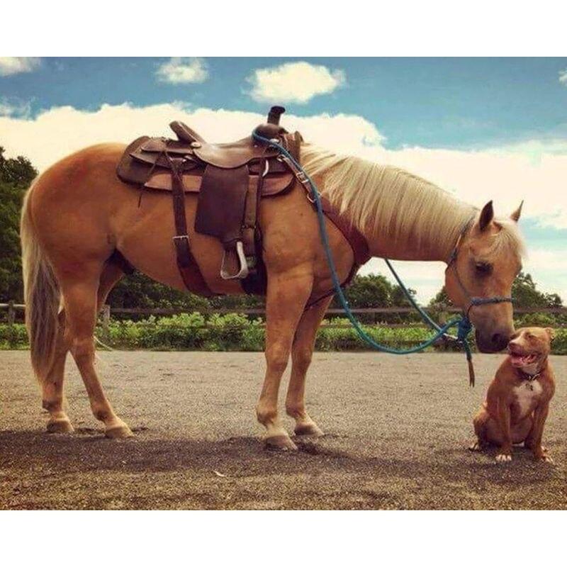 5D Diamond Painting Horse Wall Decors Gift Handmade Sense of Achievement Diy Diamond Embroidery Full Drill  Gemstone