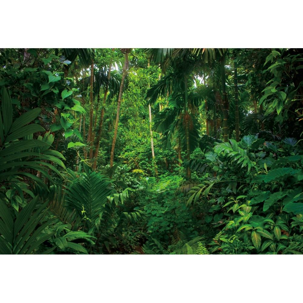 Spring Forest Backdrop Tropical Jungle Rainforest Backdrops for Photography Camping Adventure Birthday Background Photo Studio