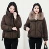 Winter new women's fashion big fur collar down cotton clothes foreign look thin warm cotton coat