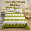 Bed Sheets Skin-friendly Brushed  Thickened Double Single Bed Multi-specification Sheets for All Seasons