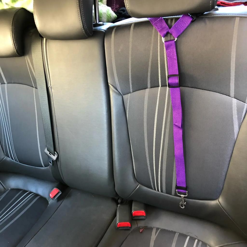Color Sólido Dos en uno Cinturón de Seguridad para Mascotas para Coche Correa de Nylon Correa Trasera Cinturón de Seguridad Ajustable Arnés Collar Accesorios para Mascotas