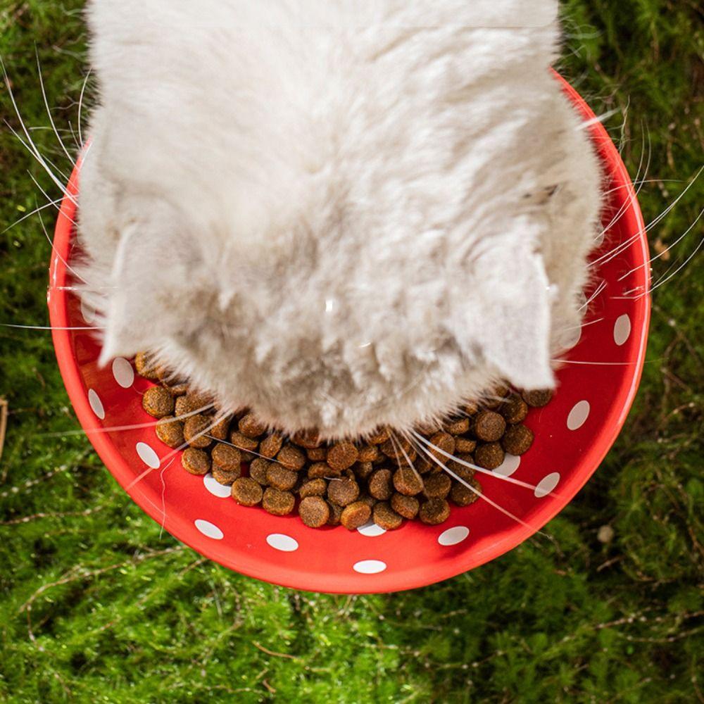 Cute Pet High Foot Bowl Creative Cats Drinking Feeder Mushroom Cat Bowl  Water Container