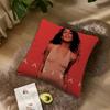 American Singer Aaaliyah Pillow Case Living Room Accent Couch Back Support Square Lounge Restful Nap Companion ?