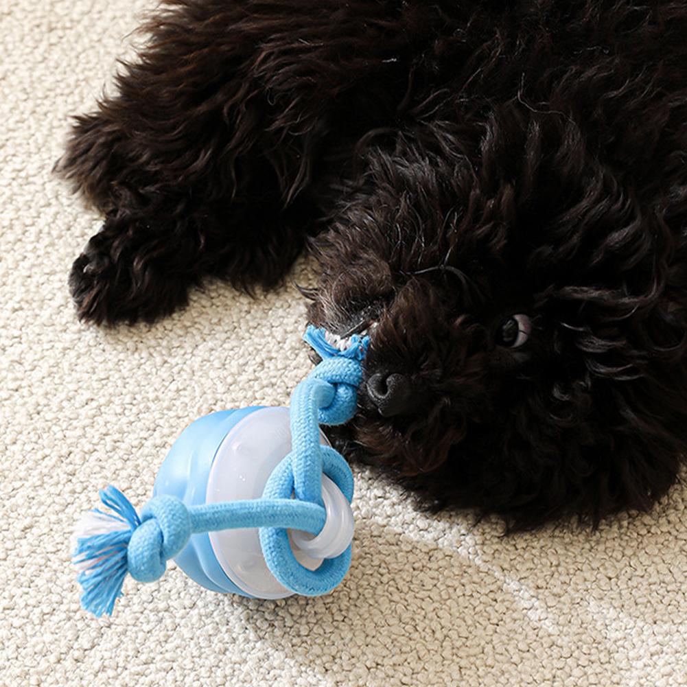 Electric Dog Ball Toys Automatic Rolling Ball with Rope Rechargeable Interactive Dog Toys Squeaky Dog Toy for Medium Small Dogs