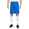 Nike Casual Shorts Men's Royal Blue IB8654-412