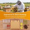 143 Pcs Set Durable Queen Bee Rearing System Plastic Apiculture System Kit  Queen Rearing