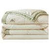Plover Luxury 7A Antibacterial Washed Cotton Summer Quilt