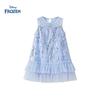 Disney Elsa Princess Girls' Sleeveless Mesh Dress