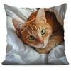 Realistic Orange Tabby Cat Pillow Case Lifelike Pet Print Cushion Cover Cozy Home Decor for Sofa Bedroom Living Room Cat Lover