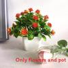 Flowers Eighteen Simulated Daisy Pine Cone Artificial Green Plant Potted Plant