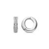 Luxenter Earrings with Brilliant Zirconia Silver Finish - Ortim