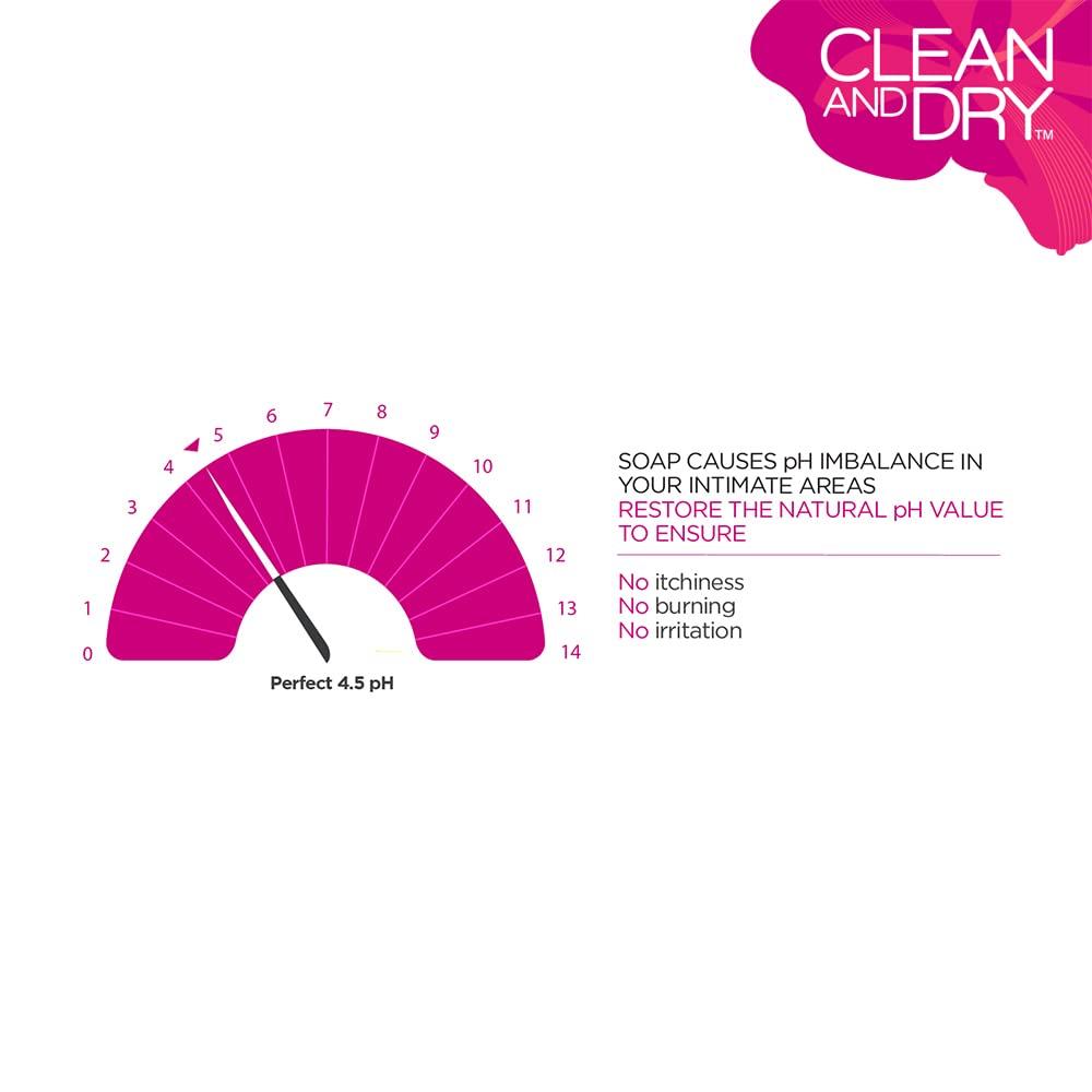 Clean & Dry Daily Intimate Wash For Women Gentle Hygiene Cleanser pH Balanced Vaginal Wash Smoothing Body Care 190ml