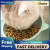 Tilted Cat Food Bowl Raised Cat Food Bowl Ergonomic Tall Dog Bowl Anti Vomiting Plastic Feeding Bowl for Flat- Faced Cats