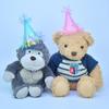 Colorful Tinsel Paper Party Hat for Cats & Dogs