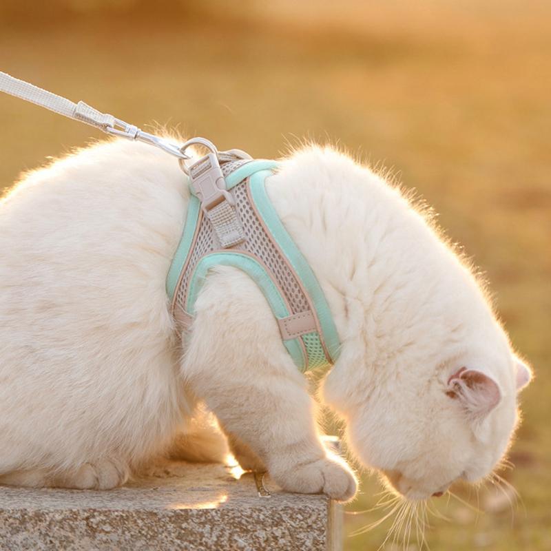 Cats Go Out Anti-breakaway båndvest Justerbar sele