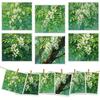 6PCS Cleaning Dishcloths Reusable Kitchen Dish Towels Green Leaves Tree Pattern Dishcloth Absorbent Lint Free Cloth Washable Duster Rags Tea Towels