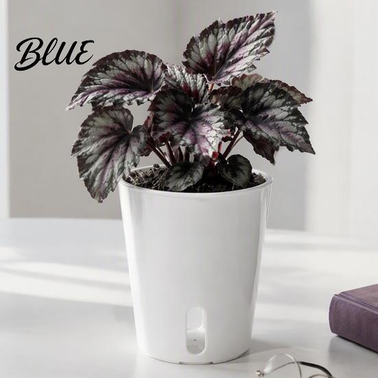 Mini Planters for Alocasia Corms Self Watering Plant Pots Indoor Plants Small with Water Level Indicator Clear Flower Windowsill Inner Cup Drainage