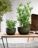 Donica Stripped Eco Wood Zielona 24Xh14