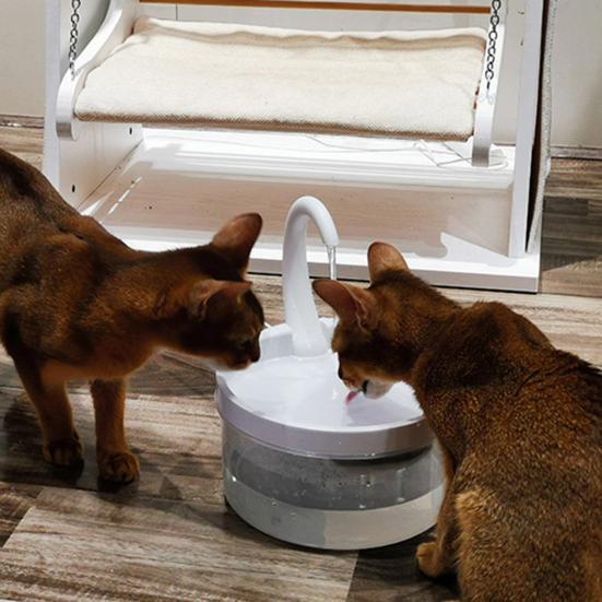 

Yousheng 2L Pet Water Feeder Wear-resistant Easy Installation Plastic Quiet Operation LED Drinking Dispenser for Daily