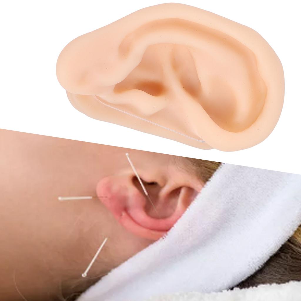Soft Silicone Ear Model Simulation Ear Acupuncture Practice Model for Hospital Display