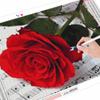 5D Paint With Diamonds Flower DIY Diamond Painting Rose Mosaic Rhinestones Pictures Wall Art Handicraft