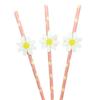 Creative Pink Daisy Party Straws with Decorative Card