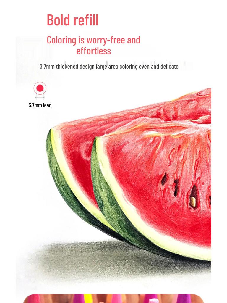 Marco Renoir Professionelle Buntstifte: 120 Ölbasierte & 72/36/48 Wasserlösliche Farben zum Zeichnen