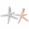 Women Hair Clip Alloy Starfish-shape Geometric Grasping Clip Hair Ornaments