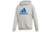 Kids Sweatshirts Hooded Moderate ED6471