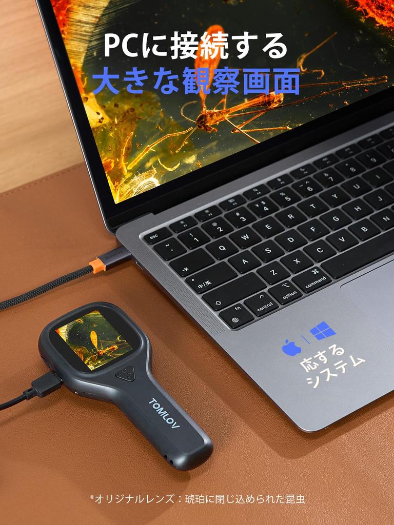 TOMLOV Micro Handheld Fixed 20X Coin Digital USB PC Mini Perfect for and Currency Biological Independent Biology Coin Japanese Language Easy To P10
