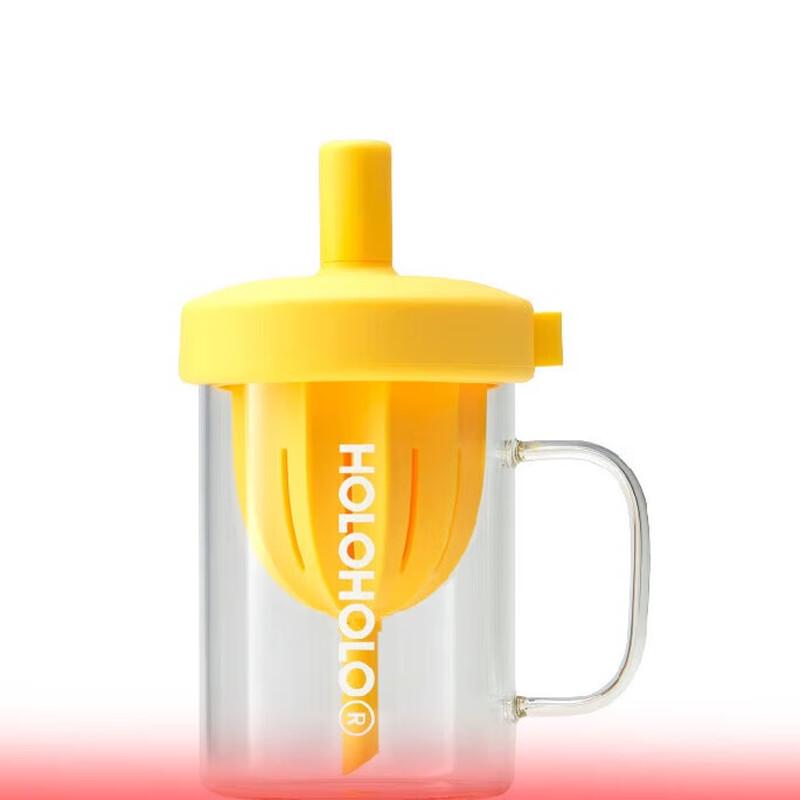 HOLOHOLO 600ml Glass Tea Infuser Straw Bottle
