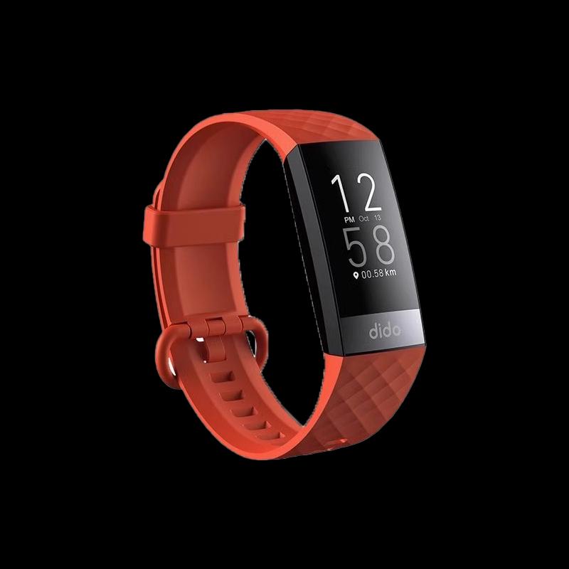 dido R66s Умный браслет для мониторинга здоровья (Китайская версия)