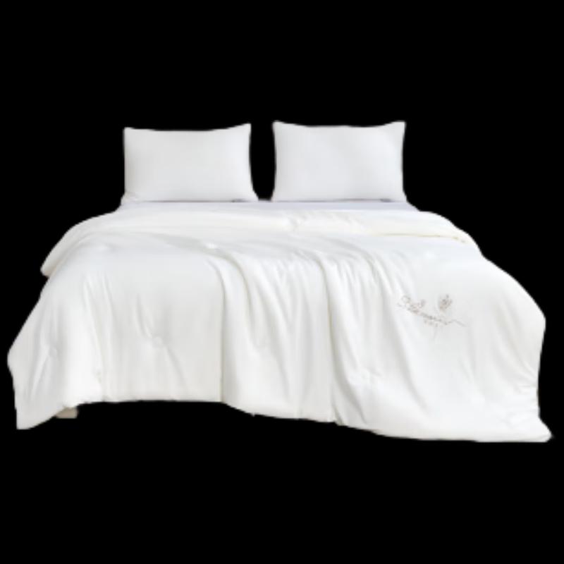 

Yilian Class A Brushed Silkworm Protein Quilt