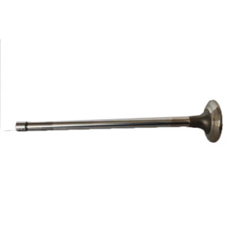 Moli Shaanxi SX2190N Exhaust Valve