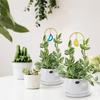 Climbing Plant Trellis Gold Metal Support Tall Slim for