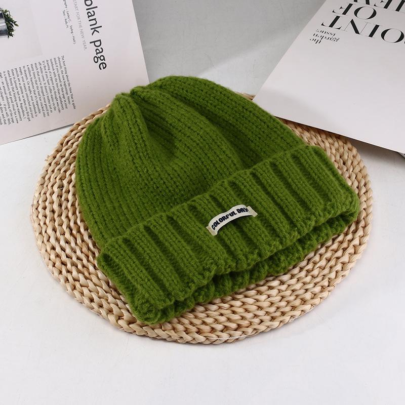 Women's Autumn and Winter New Big Head Circumference Warm Knitted Hat Korean Style Student Face Small Ear Protection Cold Hat Pile Hat