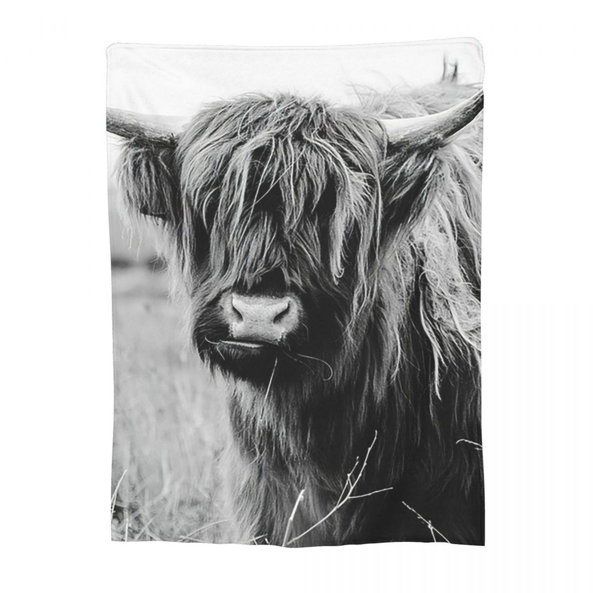 

Young Highland Cow Blankets Fleece Sofa Throw Blanket Breathable for Couch Bedding Outdoor Throws Bedspread Quilt 30x40in