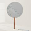 Chinese Fan with Pendant Handhelds Inks Painting Fan Tassels Round Silk Fan