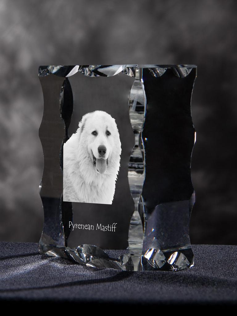 Pyrenean Mastiff, Mastín Del Pirineo - Crystal with a Picture of a Dog, Glass Statuette with a Picture, Unique Frame with a Picture from Art-Dog Brand