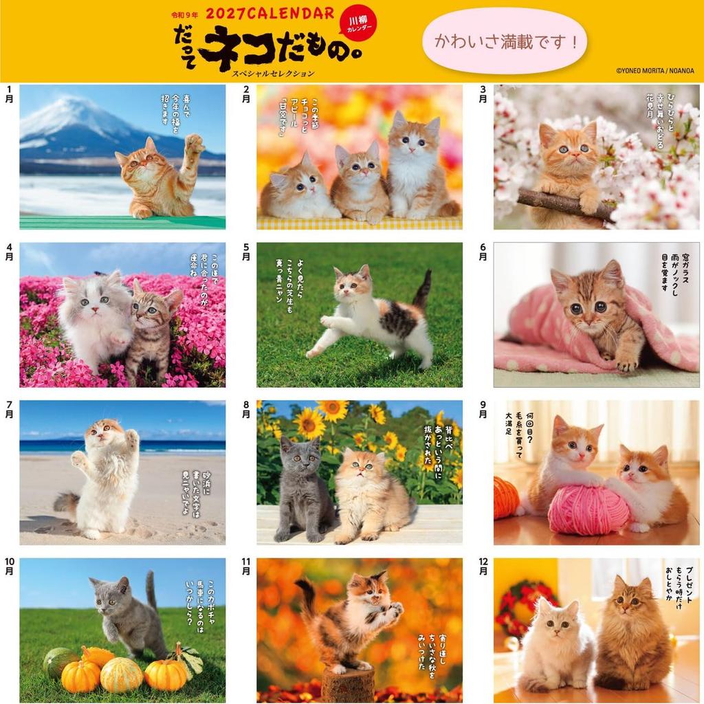 Active Corporation 2027 Wall Calendar Because I'm a Cat (Datte Neko Damono) 27ACL-66 Cute Cat Photos and Senryu Japanese Sunday Start