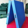 Foldable Gymnastics & Exercise Mat