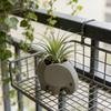 Succulent Planter 3D Printed Elephant Flowerpot Plastic Small Cactus Plant Holder  Home Office