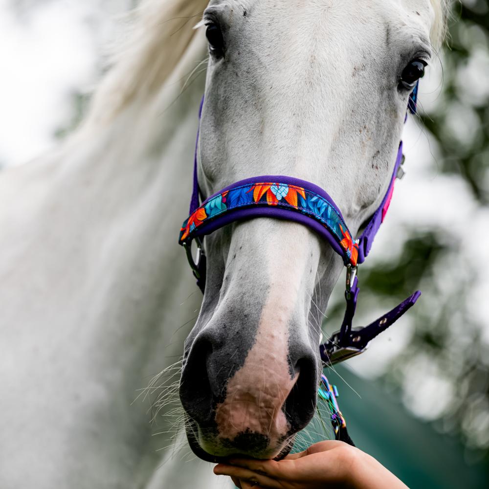 Kantar GALOP WEAR - Power Flower