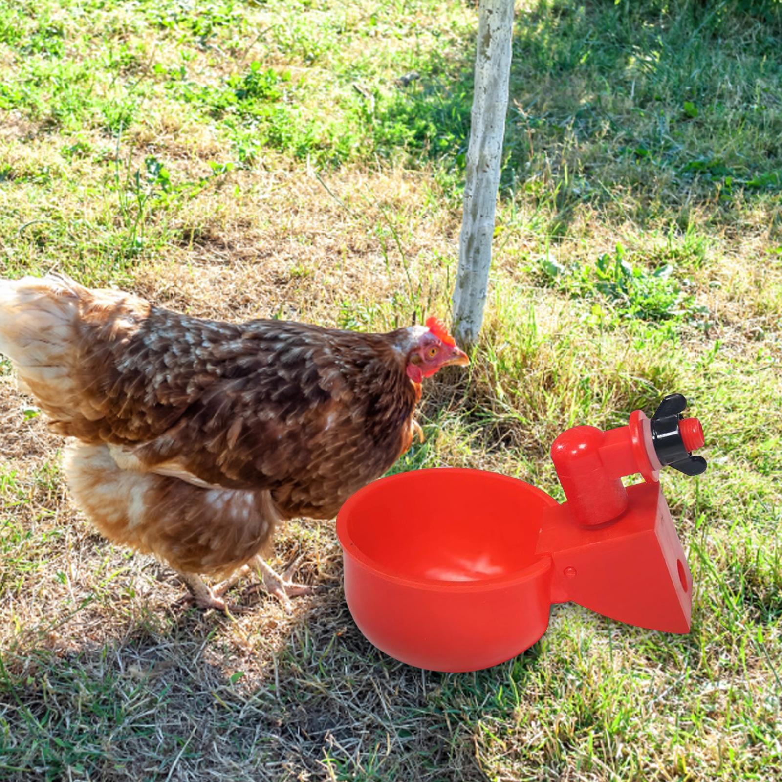 6pcs Poultry Drinking Bowl Hanging Automatic Poultry Drinking Fountain Plastic Practical Feeding Tools for Farm Animal China Mainland