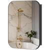 Bathroom Mirror Cabinet Bathroom Cabinet With Mirror Adjustable Shelf 40 2 X 10 2 X 50 9 Cm Black