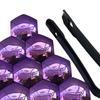 Car Wheel Lug Nut Cover Kit - 20 Pieces with Installation Tool