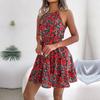 Frühling Sommer Neckholder Krawatte Offenes Rückenfreies Blumen Langes Kleid Unregelmäßige Urlaubskleider S-XL