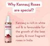 WishCare® 100% Pure & Natural Rose Water - For Skin, Face & Hair - Steam Distilled - Kannauj Gulab Jal - Spray Skin Toner –200ml
